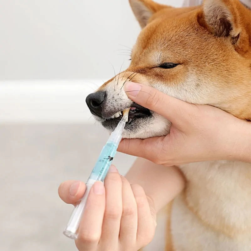 Herramienta de Limpieza de Dientes para Mascotas