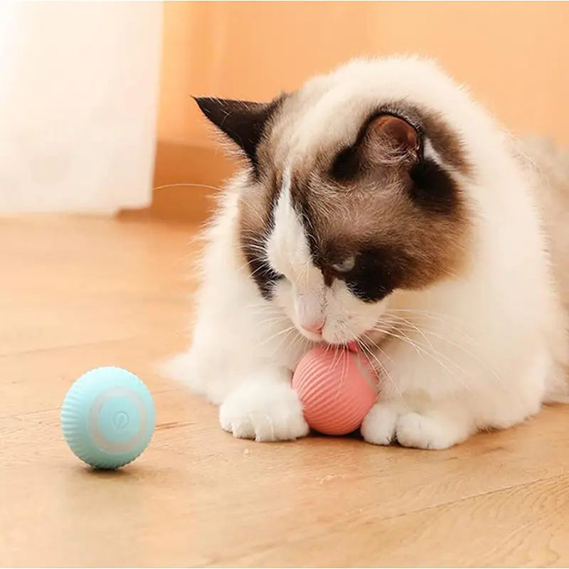 Pelota con Movimiento para Mascotas